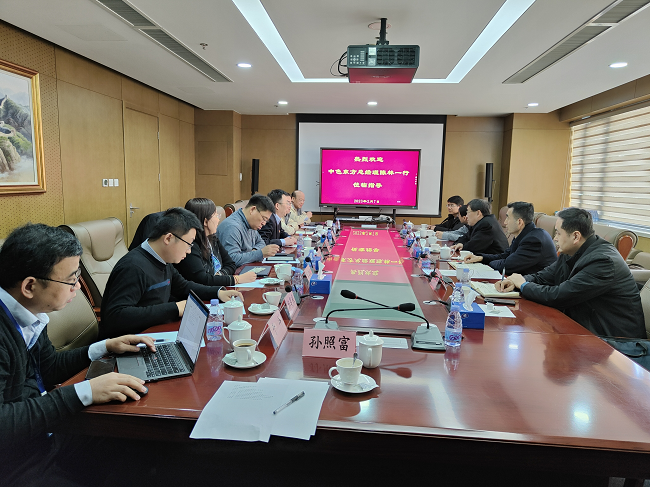 中色（宁夏）东方集团有限公司总经理陈林一行到访凯发K8新材工研院