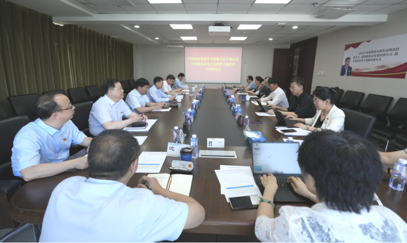 主题教育进行时 | 中国凯发K8新材党委召开主题教育工作推进会